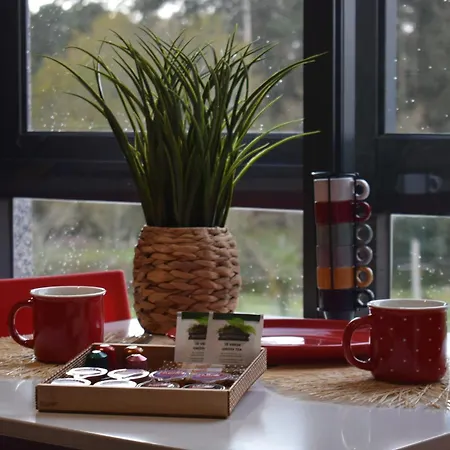 Apartment Luminoso Y Acogedor *