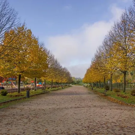 Luminoso Y Acogedor Apartment