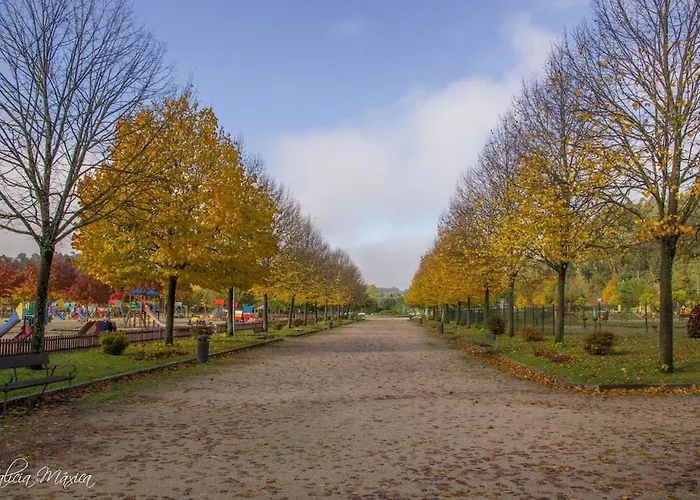 Luminoso Y Acogedor Διαμέρισμα